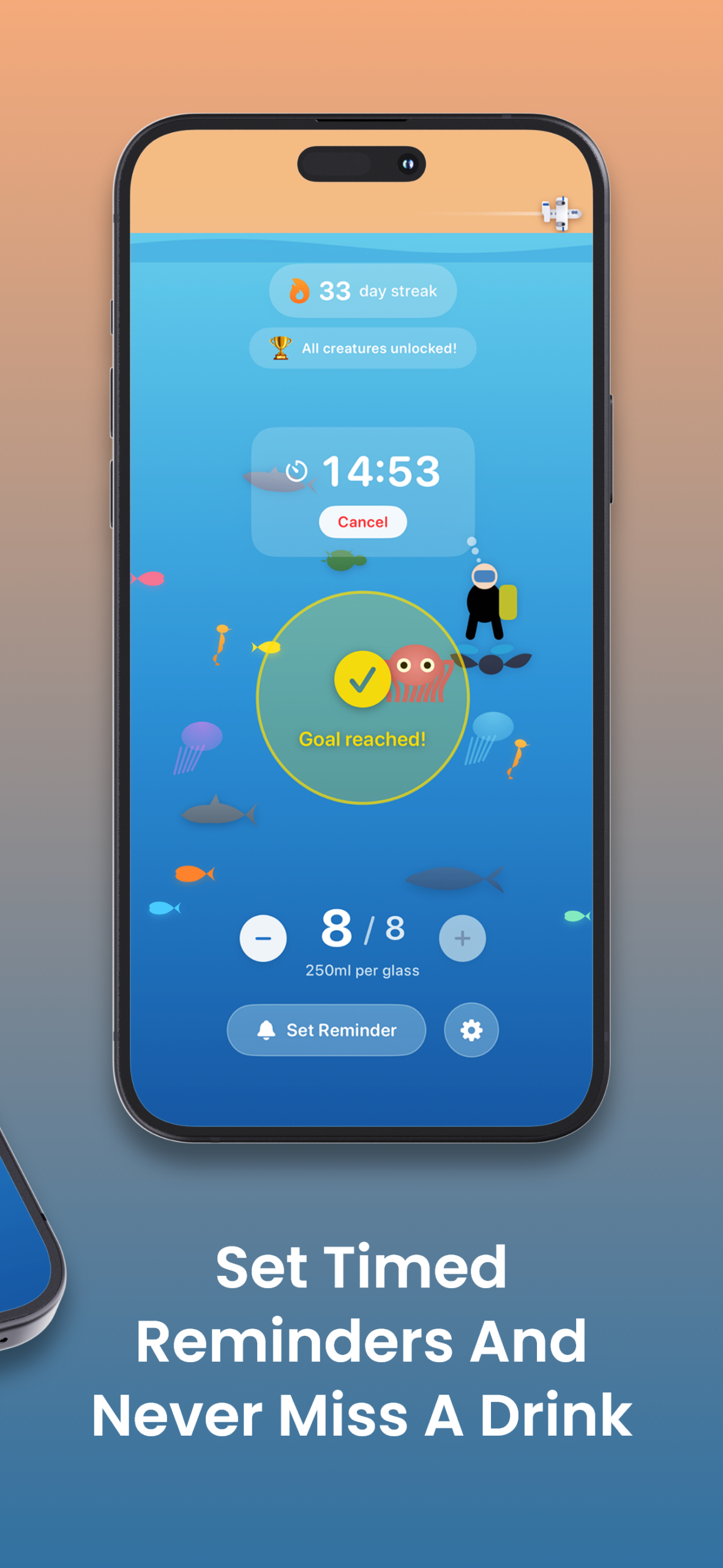Customizable timed hydration reminders